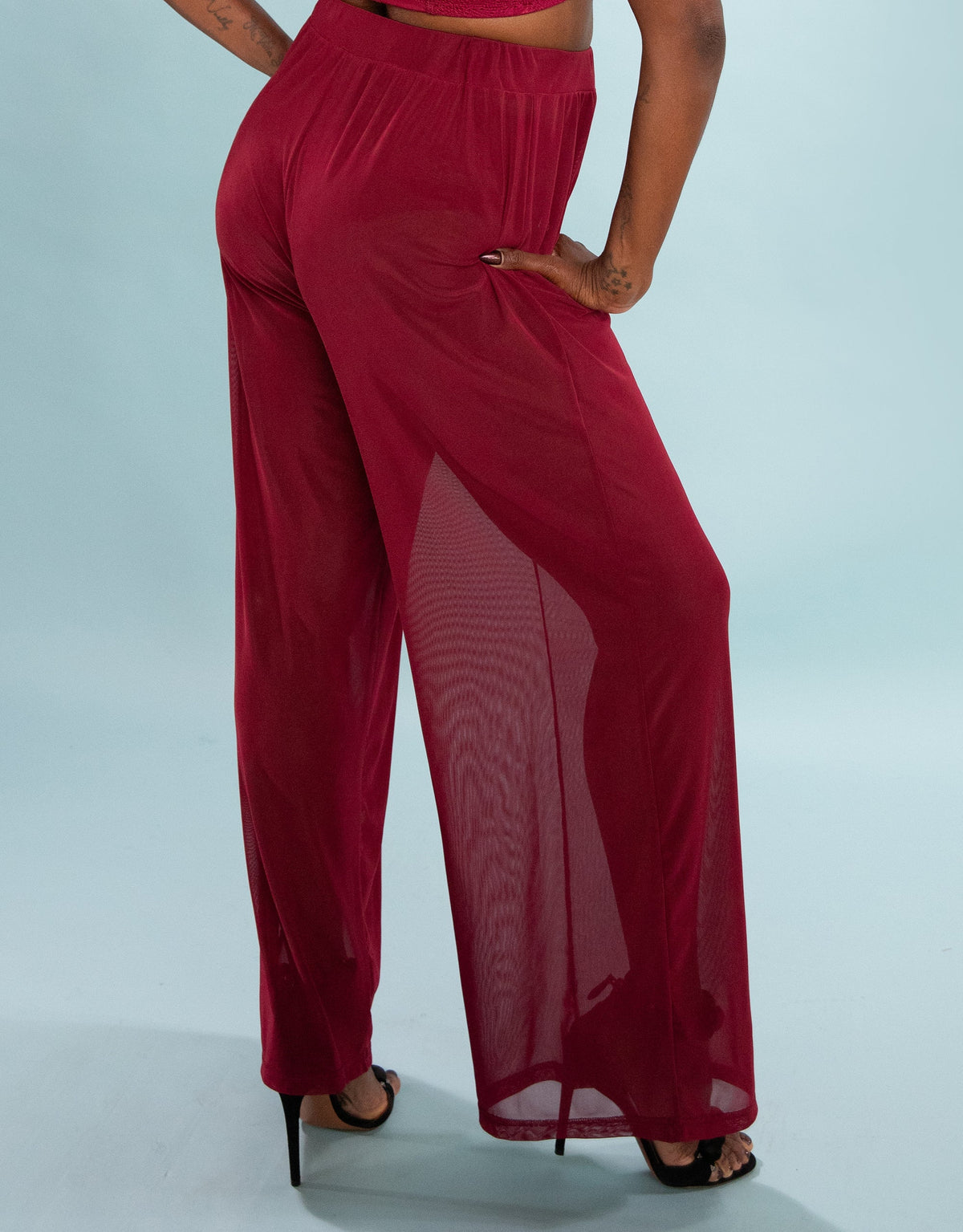 Hose Sheer Transparent Bordeaux